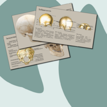 Презентация 