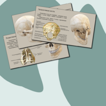 Презентация 