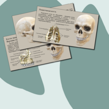 Презентация 