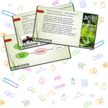 Презентация по окружающему миру 