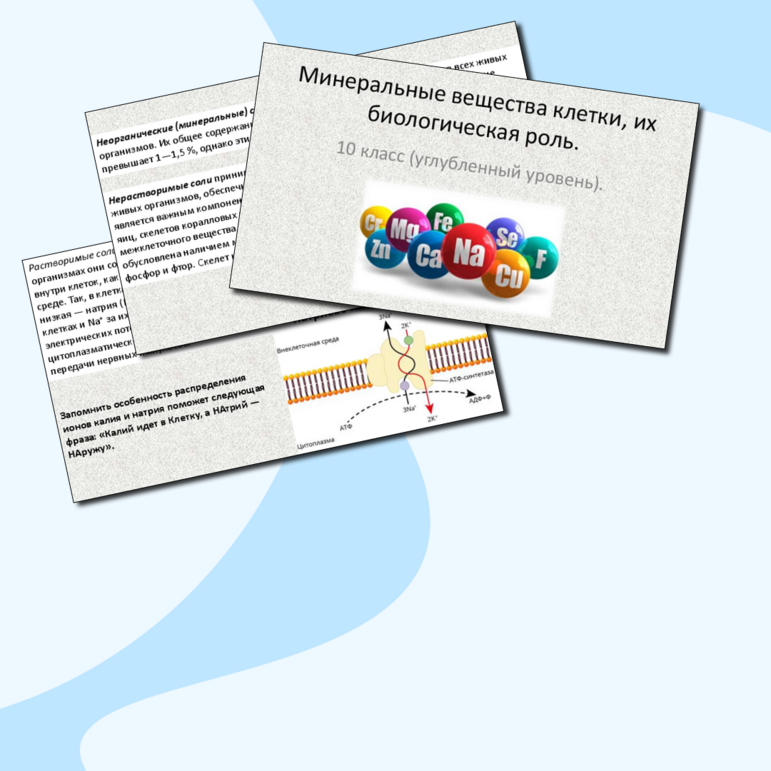 Презентация 