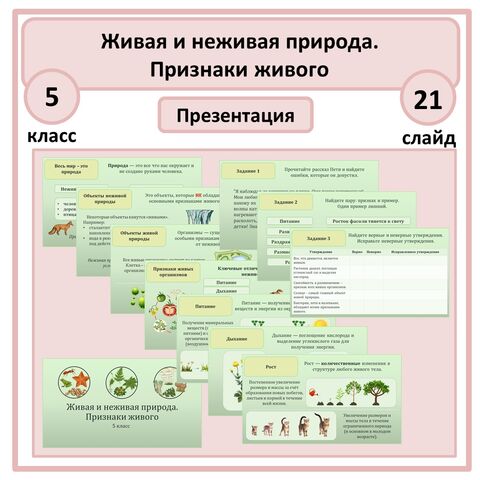 Презентация по биологии «Живая и неживая природа. Признаки живого» 5 класс