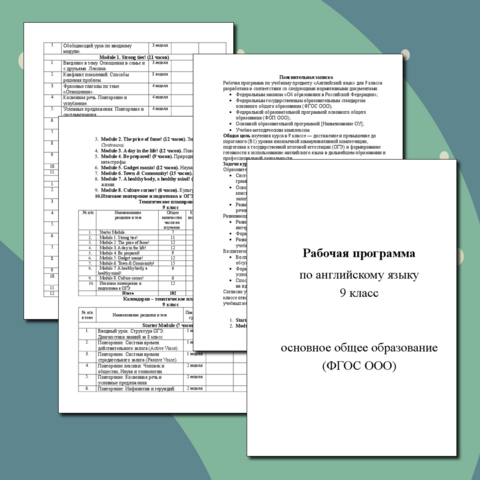 Рабочая программа по английскому языку, 9 класс 