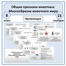 Презентация по биологии «Общие признаки животных. Многообразие животного мира» 8 класс