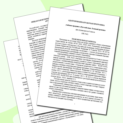 Адаптированная рабочая программа по русскому языку (9 класс, РАС, ЗПР)