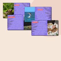 Презентация «Орлёнок-эколог» «Орлята России». Трек «Орлёнок-эколог»