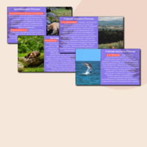 Презентация «Орлёнок-эколог» «Орлята России». Трек «Орлёнок-эколог»