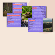 Презентация «Орлёнок-эколог» «Орлята России». Трек «Орлёнок-эколог»