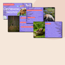 Презентация «Орлёнок-эколог» «Орлята России». Трек «Орлёнок-эколог»