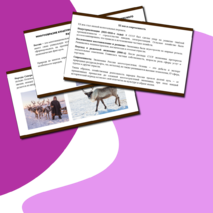 Презентация по теме: 