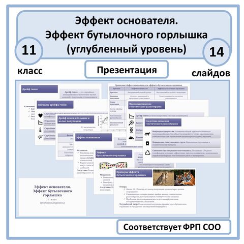 Презентация по биологии «Эффект основателя. Эффект бутылочного горлышка» 11 класс (углубленный уровень)
