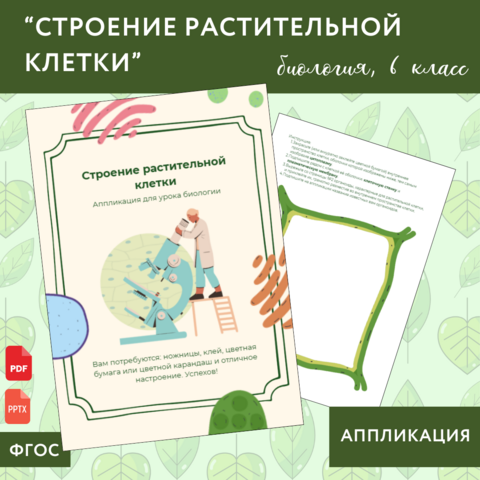 Аппликация к уроку биологии «Строение растительной клетки», 6 класс (УМК Пасечника)