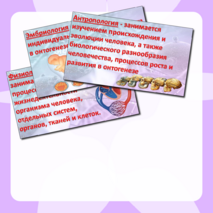 Презентация «Науки о человеке» Биология 9 класс