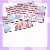 Презентация «Науки о человеке» Биология 9 класс
