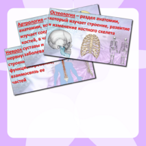 Презентация «Науки о человеке» Биология 9 класс