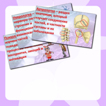 Презентация «Науки о человеке» Биология 9 класс