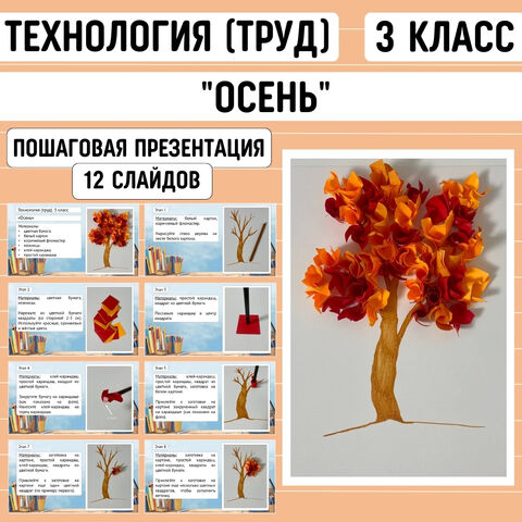 Пошаговая презентация по технологии (труд) 