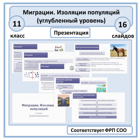 Презентация по биологии «Миграции. Изоляции популяций: географическая, биологическая» 11 класс (углубленный уровень)