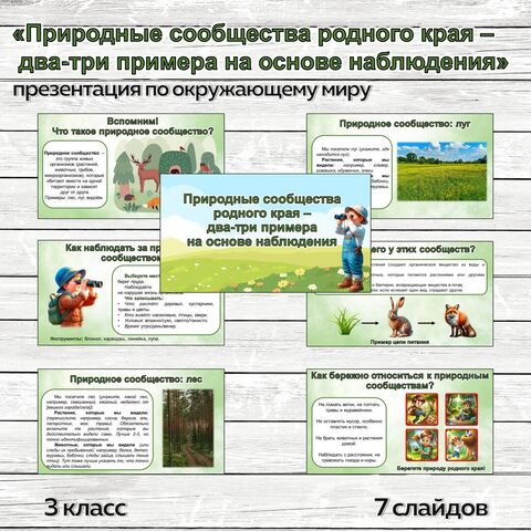 Презентация по окружающему миру «Природные сообщества родного края – два-три примера на основе наблюдения» для 3 класса