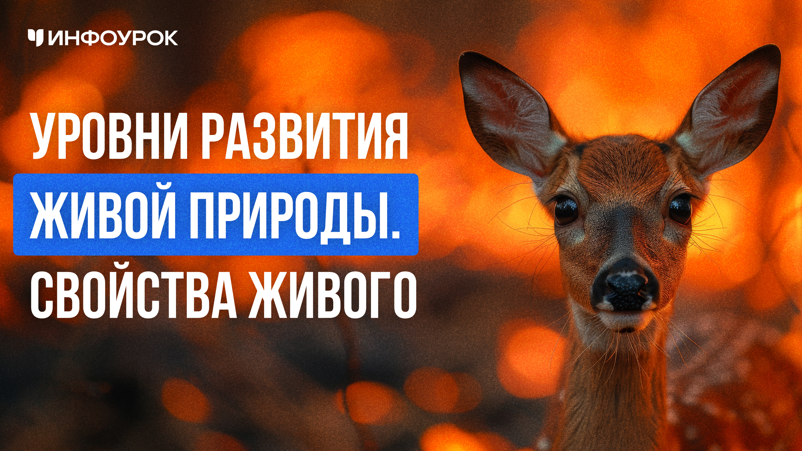 Обложка курса