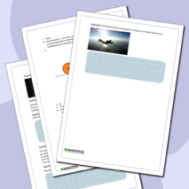 Рабочий лист по теме «Сила тяжести» по физике 7 класс