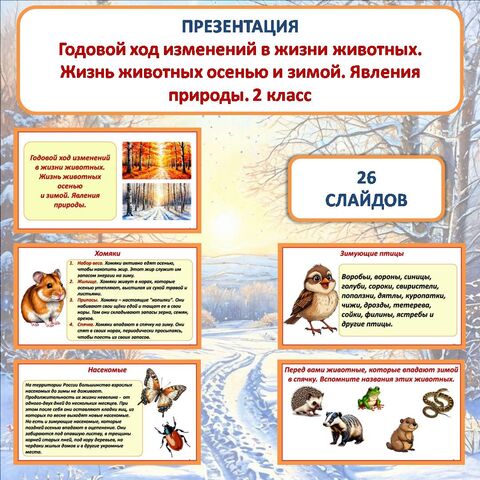 Презентация «Годовой ход изменений в жизни животных. Жизнь животных осенью и зимой. Явления природы» к уроку окружающего мира во 2 классе