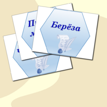 Оформление 