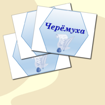 Оформление 