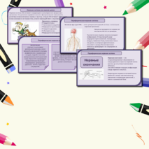 Презентация 