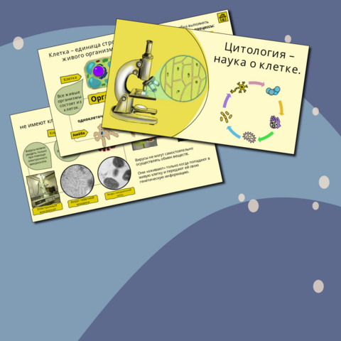 Презентация на тему: 