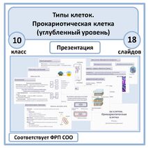 Презентация по биологии «Типы клеток. Прокариотическая клетка» 10 класс (углубленный уровень)