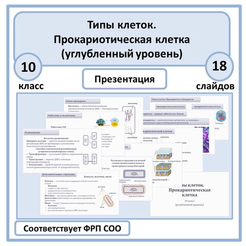 Презентация по биологии «Типы клеток. Прокариотическая клетка» 10 класс (углубленный уровень)