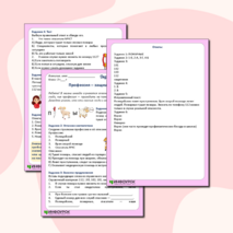 Рабочий лист по окружающему миру «Профессия – защищать!»