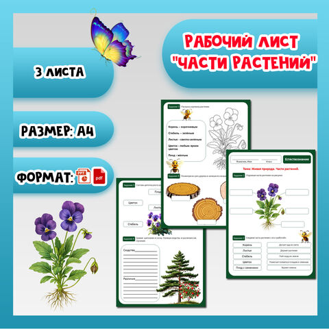 Рабочий лист к теме «Части растений».