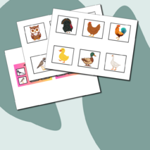 Дидактическая игра 