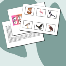 Дидактическая игра 