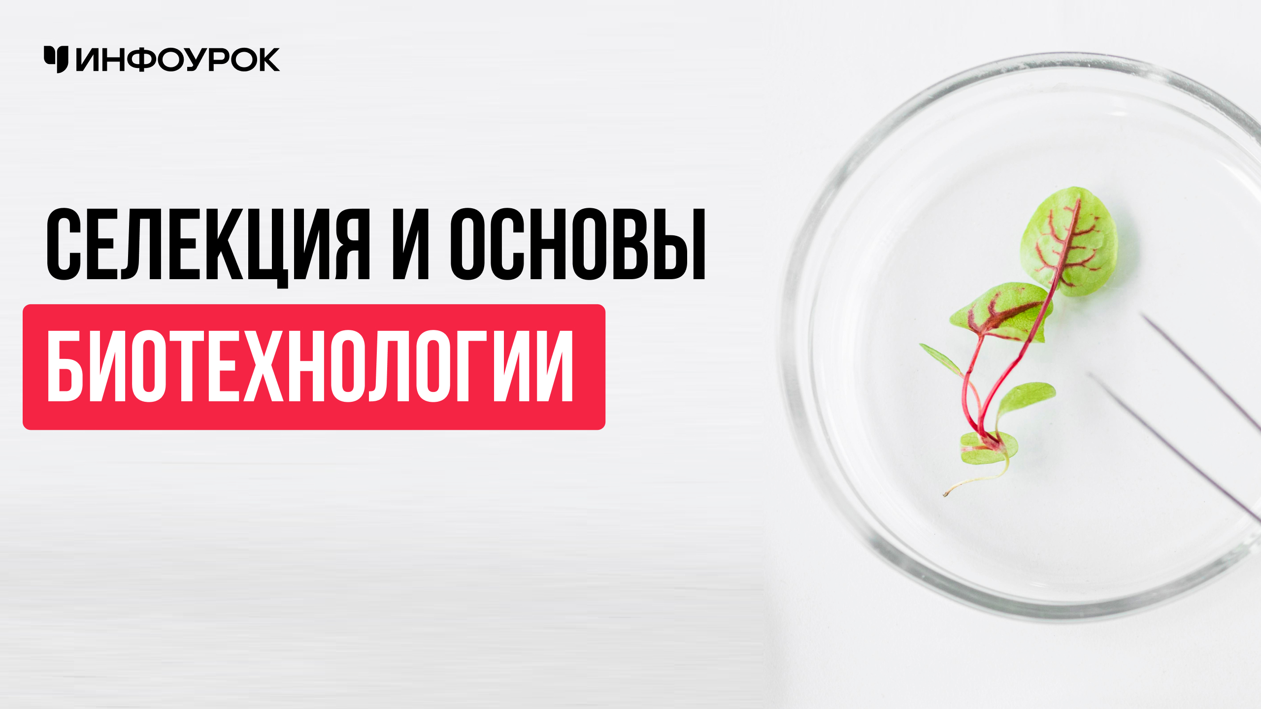 Обложка курса