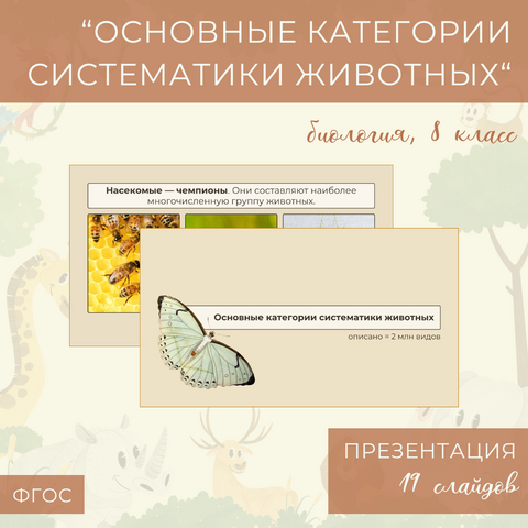 Презентация «Основные категории систематики животных» – 8 класс, УМК Пасечника
