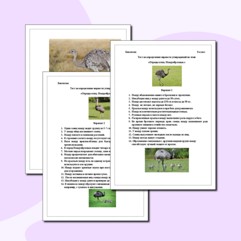 Тест по биологии в 8 классе на определение верности утверждений по теме 