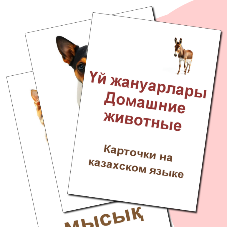 Карточка 