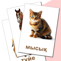 Карточка 