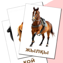 Карточка 