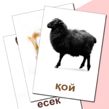 Карточка 