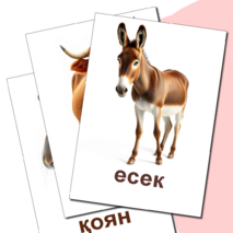 Карточка 