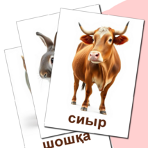 Карточка 