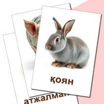 Карточка 