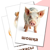 Карточка 
