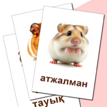 Карточка 