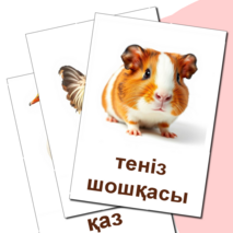 Карточка 