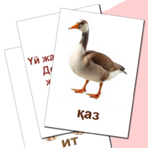 Карточка 